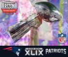 New England Patriots, 2015 Super Bowl kazanan 28 / 24 at Seattle Seahawks Şampiyonlar.